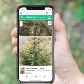 Treebuddy:n palvelu, jolla voi paikantaa ja seurata ostamansa puun kasvua. 