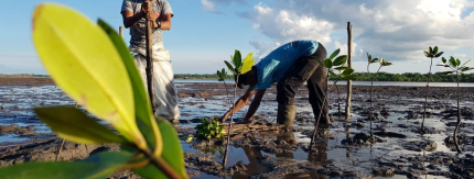 Trooppisissa puissa ratkaisu yritysten ESG-raportoinnin laajentumiseen – Haastattelussa TreebuddyEarth:n johto